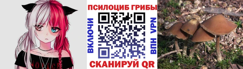 Галлюциногенные грибы MAGIC MUSHROOMS  Гай 